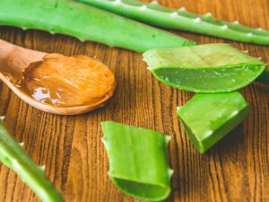 aloe vera en cosmetique