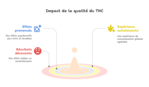 Qualité, THC et livraison : ce qu’il faut vérifier